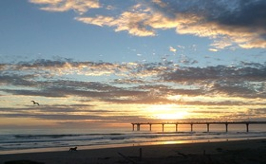 ただただ応援枠