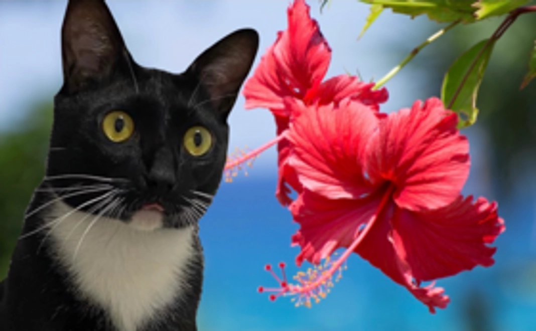 1,000円【リターン不要の方】