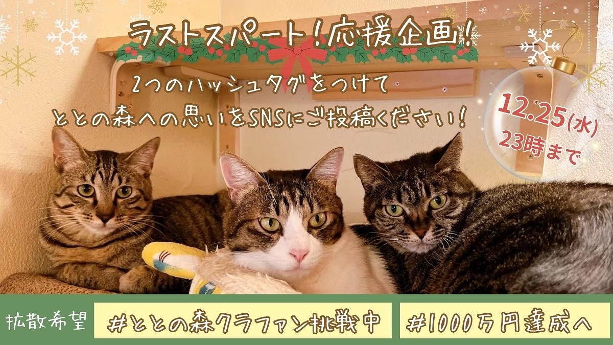 【拡散希望】ハッシュタグ企画始動！#ととの森クラファン挑戦中 #1000万円達成へ