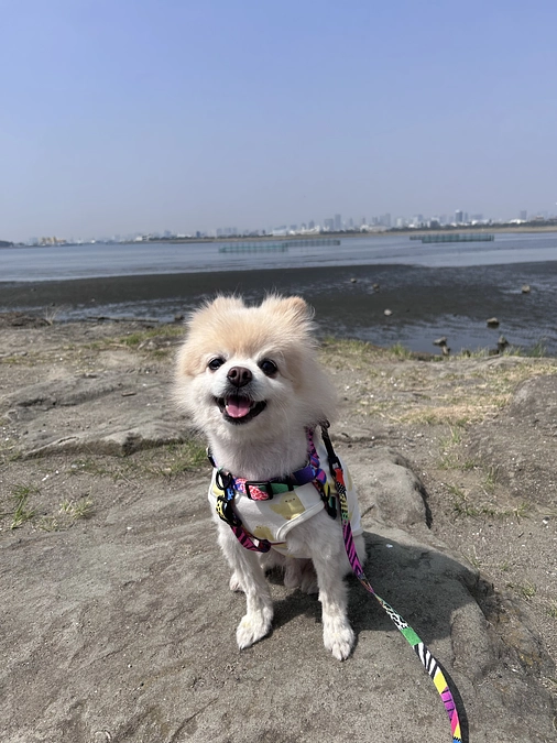 42/59 ☆ 3ヶ月記念日