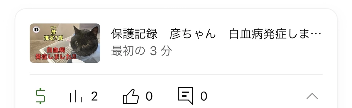 苦痛のないよう精一杯お世話します