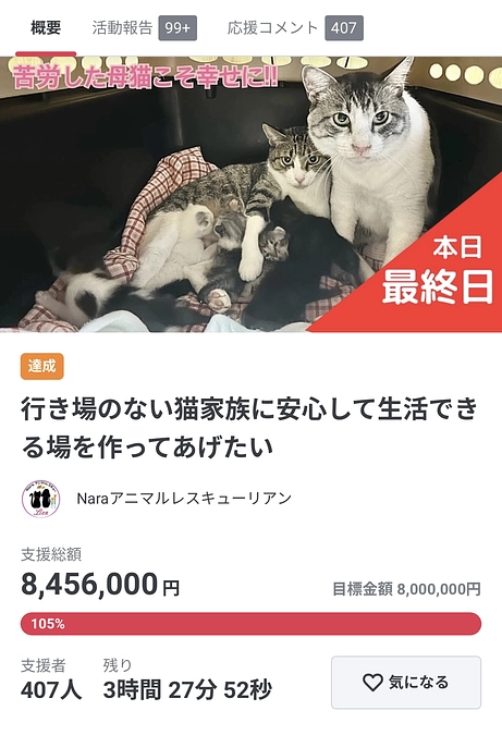 残り3時間になりました!!