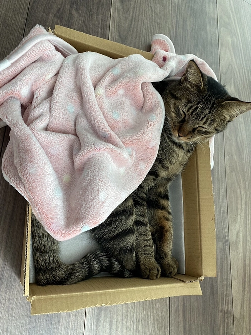 8日目＊達成2日目