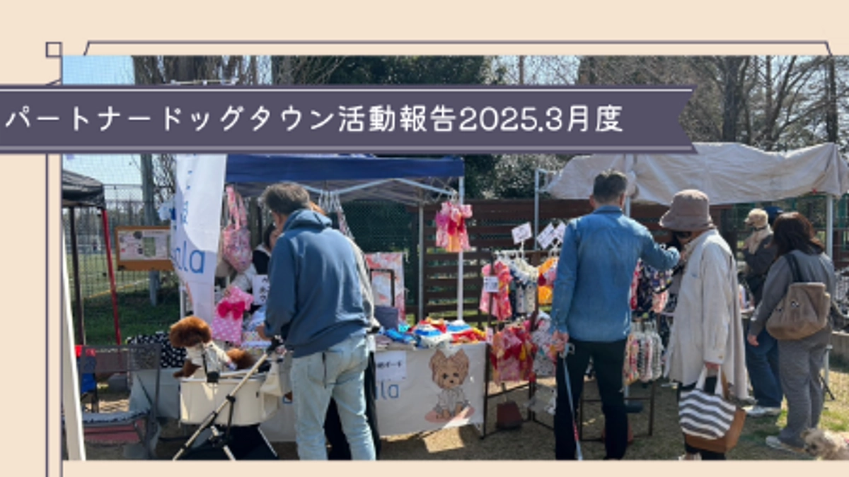 活動報告2025年3月度