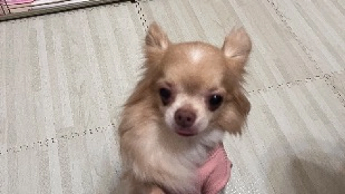 術後2ヶ月検診に行って来ました！