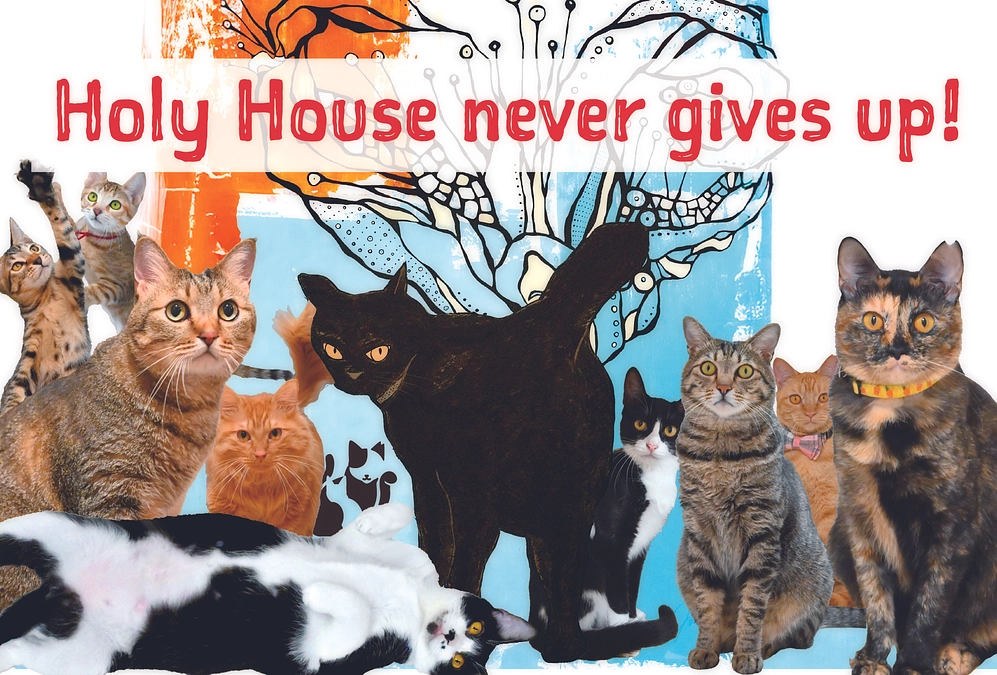 ホーリーハウスは大きな節目を迎えます