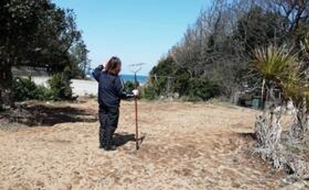 純粋応援コース　(制限なし)