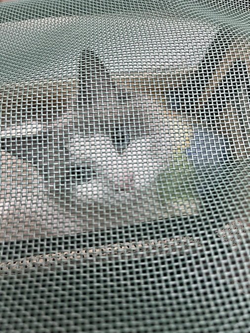 0425 ソラ定期検診へ