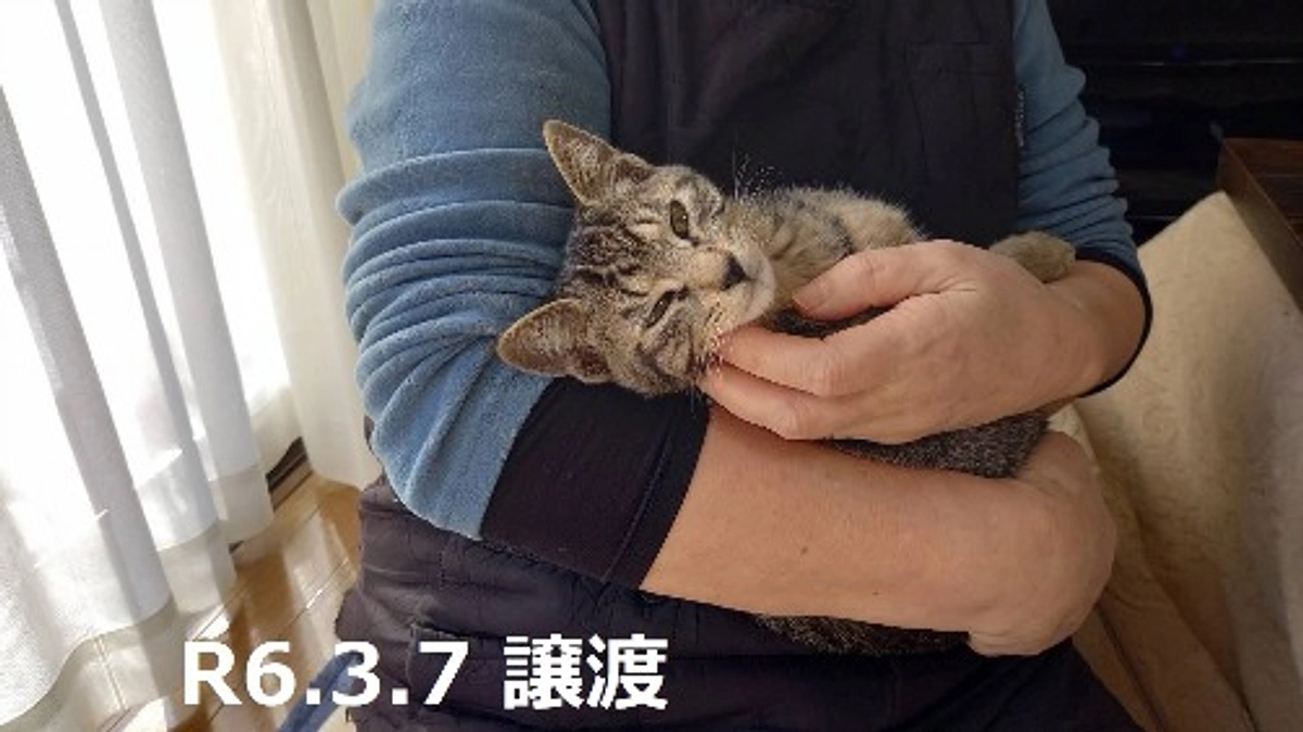 いつの日か（ボランティアさんの熱い思い）