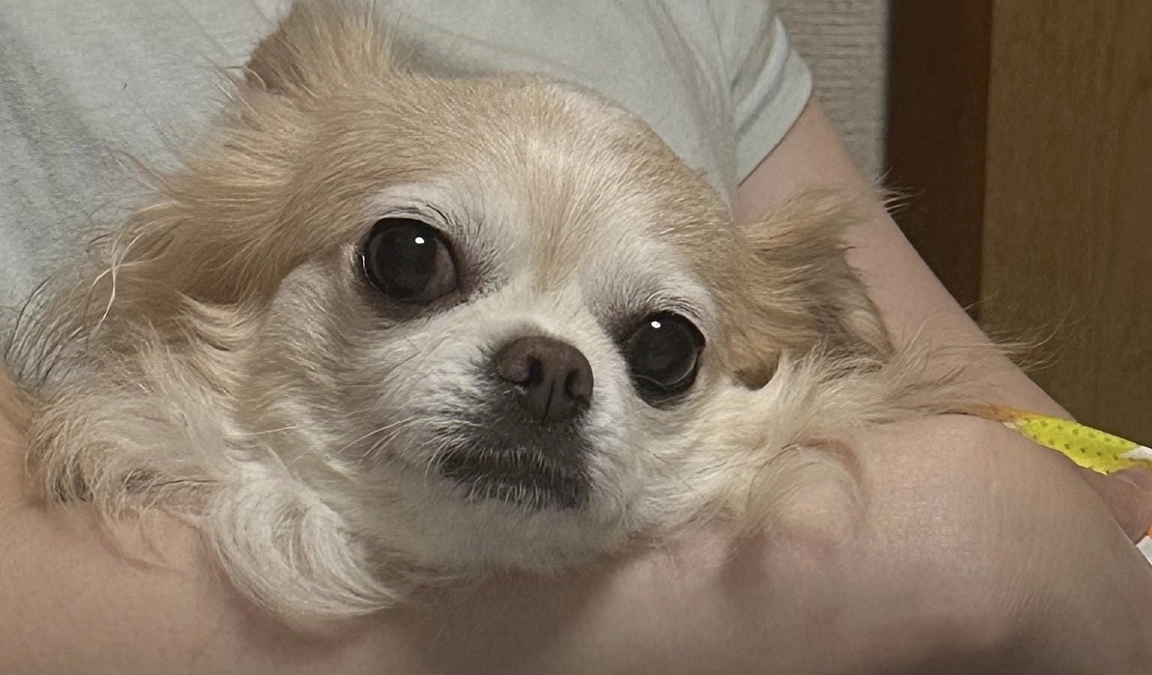 7/19かかりつけ病院へ診察に行ってきました。。