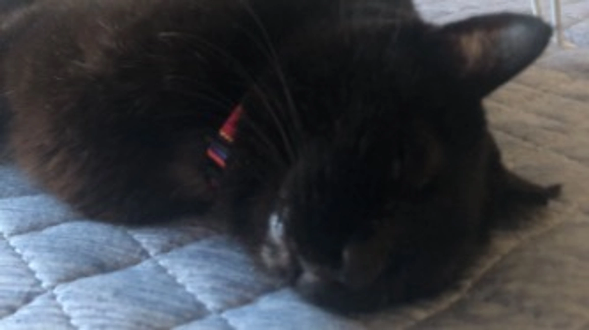 ゴールまであと一歩になりました！