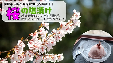 伊那市郷土の味！桜の塩漬けのレシピ開発と継承！ のトップ画像