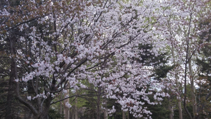 規模の大きいトラックドライバーの休憩場所を作ろうと思っています