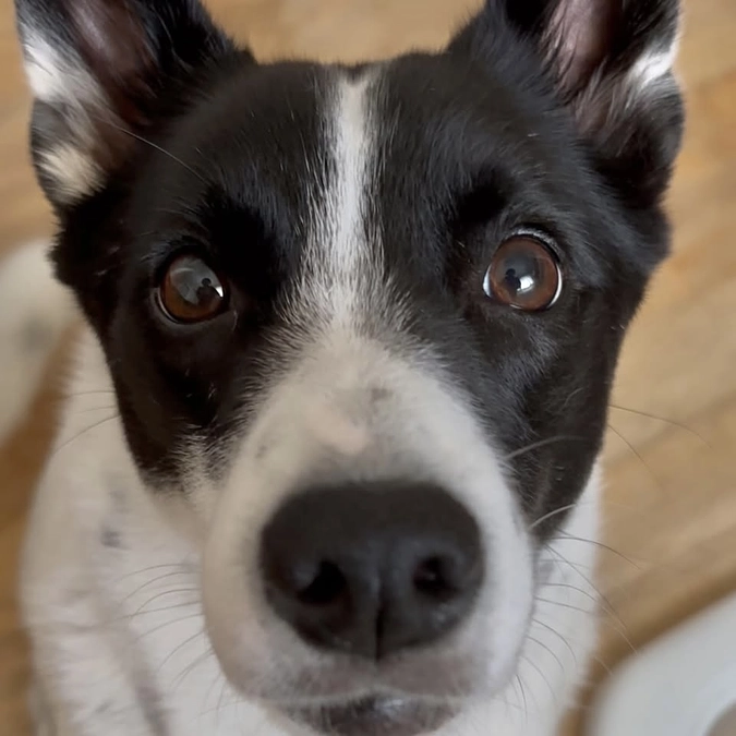 【公開終了まで｜残り3日】この世界に生まれてきてよかった──そう思える場所を残したい