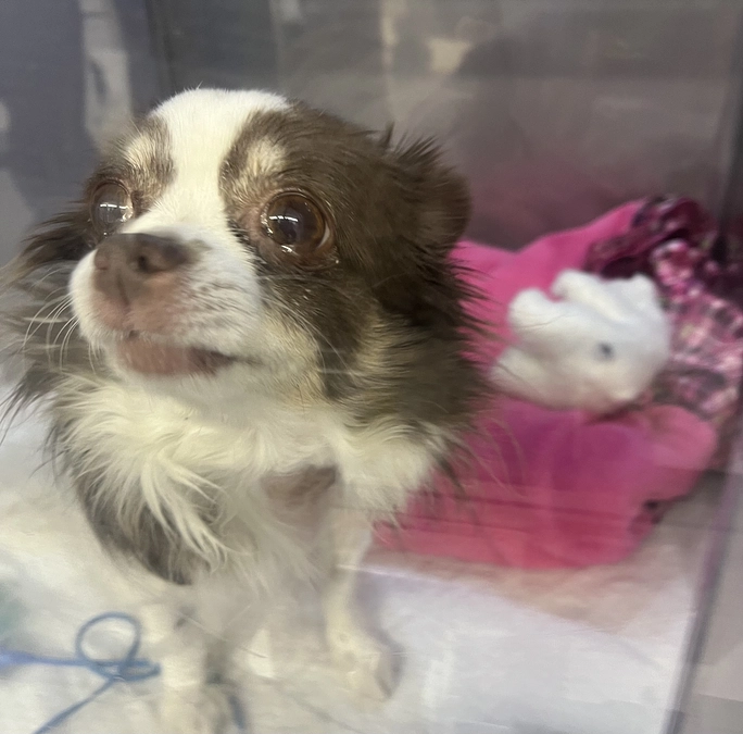 2023.12.06  術後一日目。