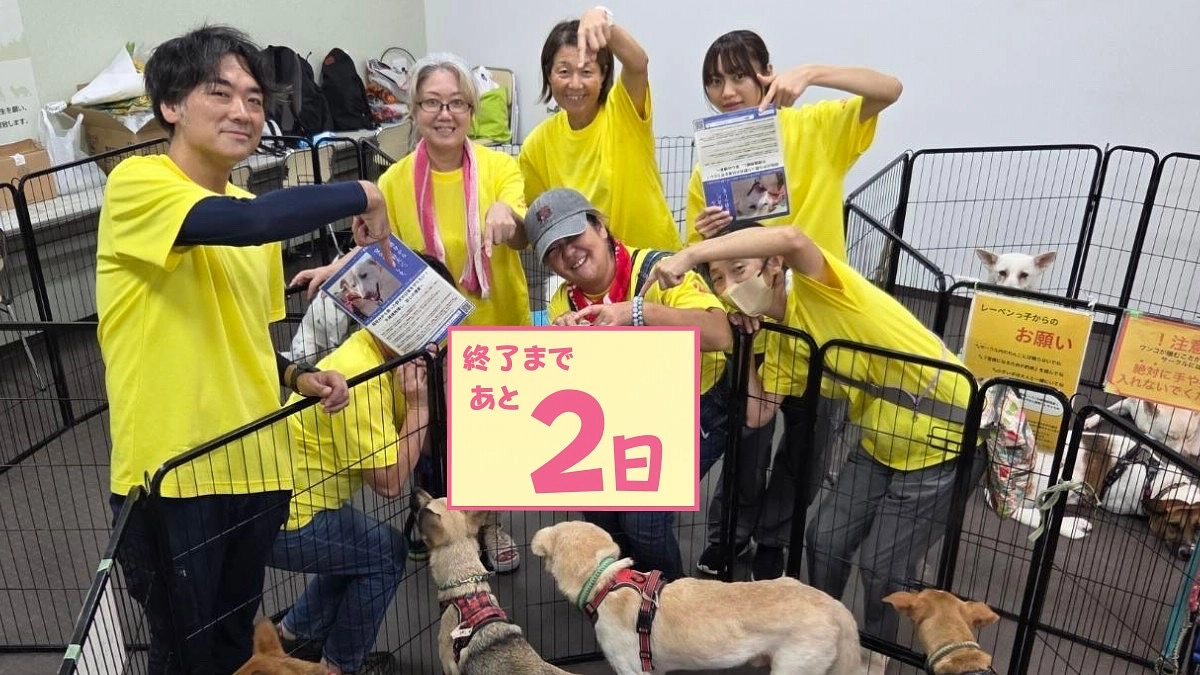 里親さまからのメッセージ　ラムのご家族より