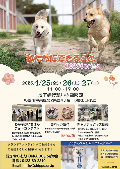いよいよ来週開催「私たちにできること 2025 Spring」でわが子がいちばんフォトコンテスト✨
