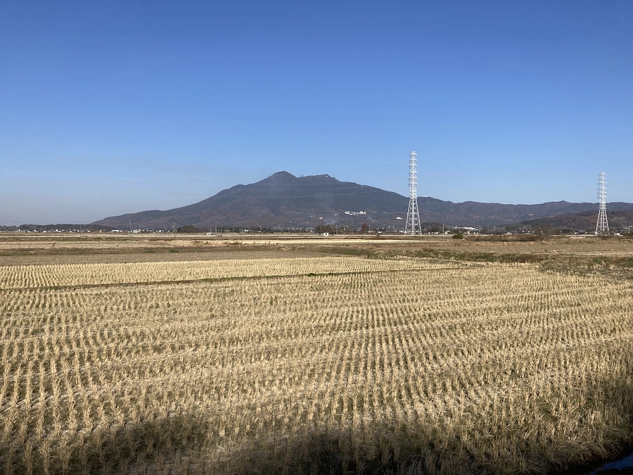 はんげしょう米を食べよう！