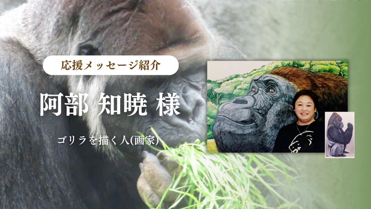 ゴリラを描く人(画家) 阿部 知暁様からの応援メッセージのご紹介