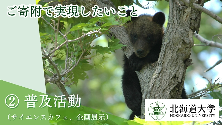 第2弾！世界のクマ研究最前線｜人とクマが共に生きられる環境を未来へ 3枚目