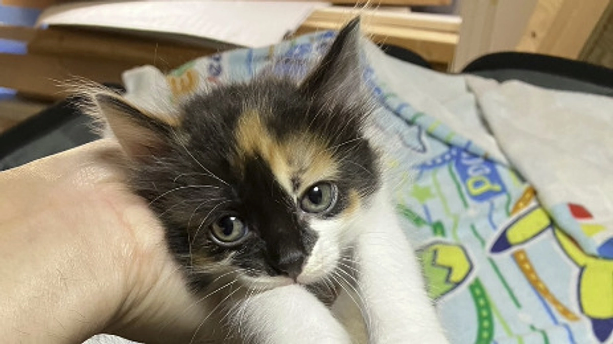 5月の中間報告！