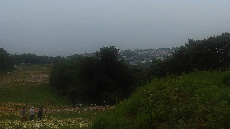 地域密着型サロン開設で子供たちを多くの目で見守れる安全な街を