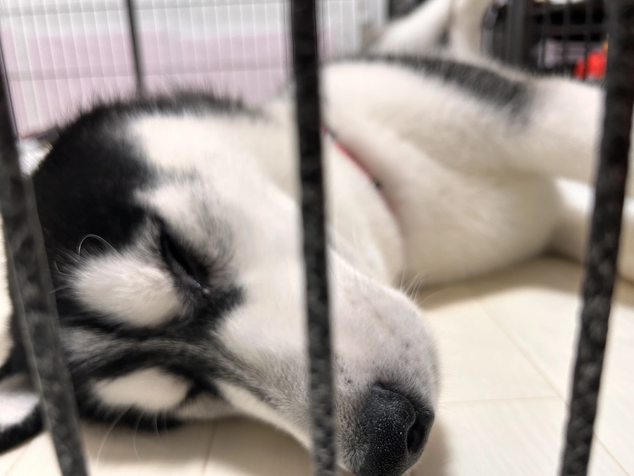 残り9日！カウントダウン開始