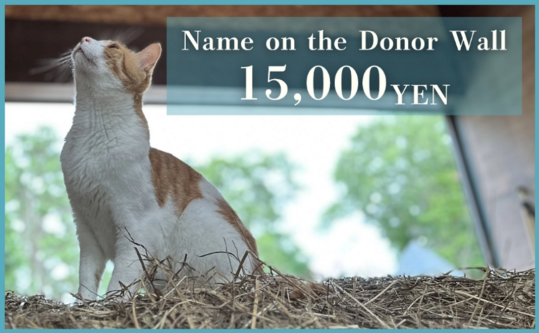 【For Supporters outside of Japan】Name on the Donor Wall