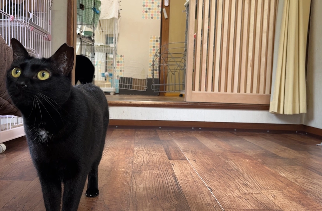 シェルターゆらりんちの1階の扉が新しくなりました！