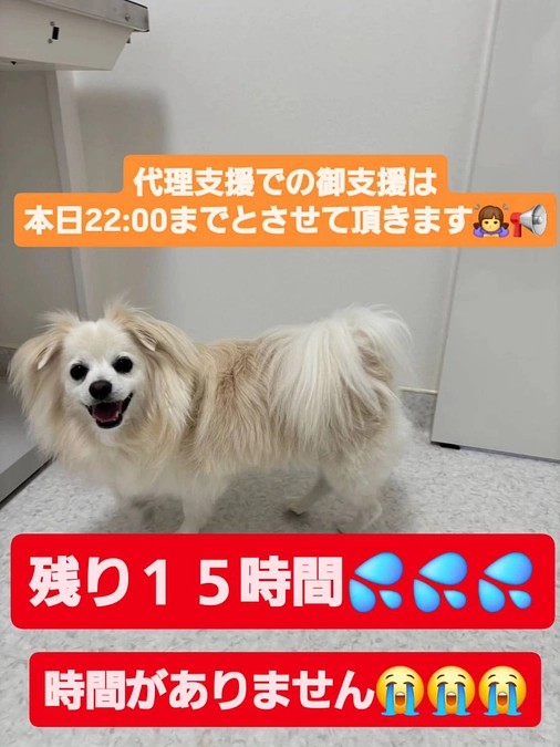 【残り１５時間】達成率５８％