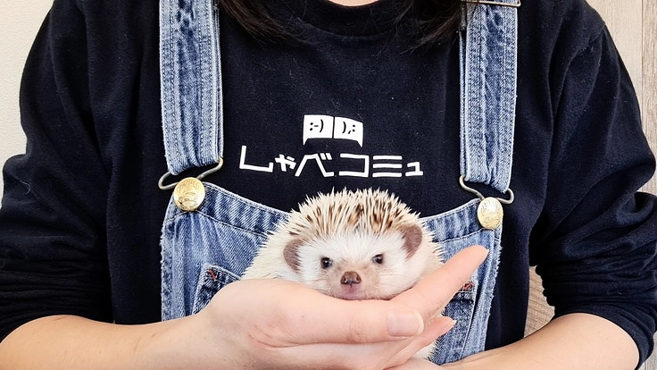 動物がつなぐふれあい癒しの空間をまもりたい！プロジェクト第3弾！