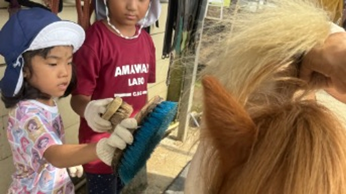 残り6日間の厩舎再建プロジェクト 90%突破！