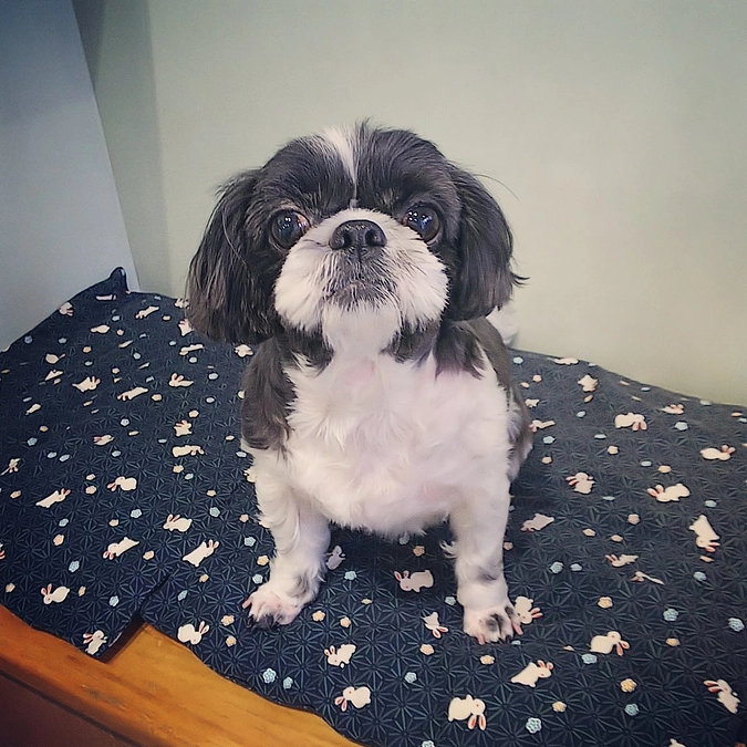 本日もご支援頂きました