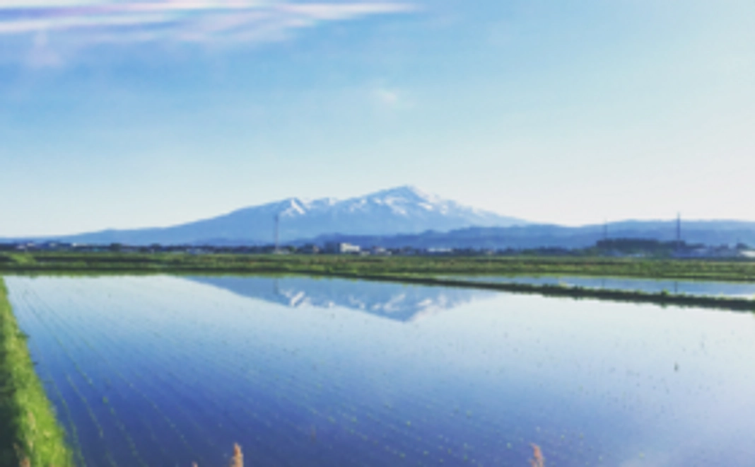 【お越しいただける方】庄内でお待ちしております！ペア宿泊券