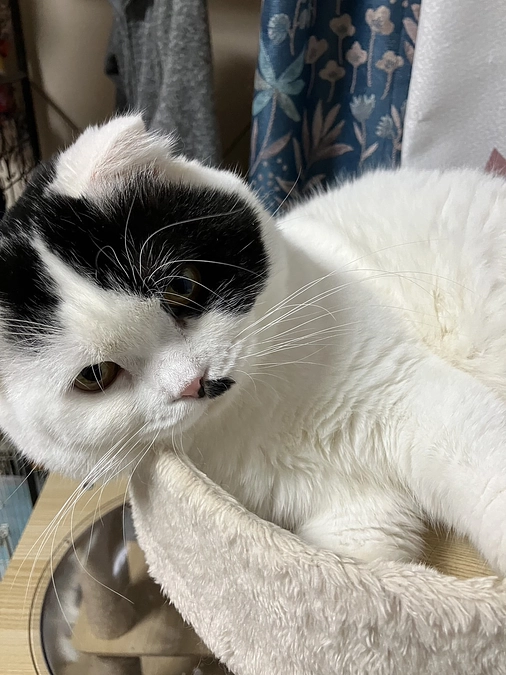 ネクストゴールへ挑戦