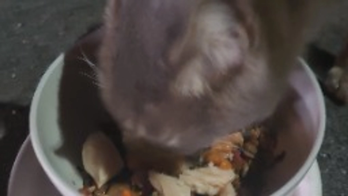 支援金での購入品