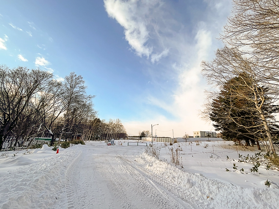 本日（令和5年12月27日)の北海道百年記念塔