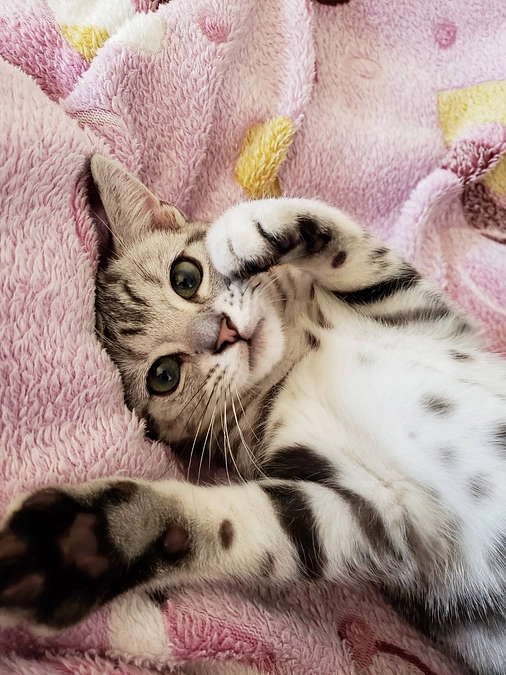 クラファン終了まであと1時間‼️