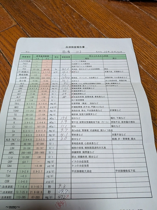 はるちゃん💕　術前検診🏥