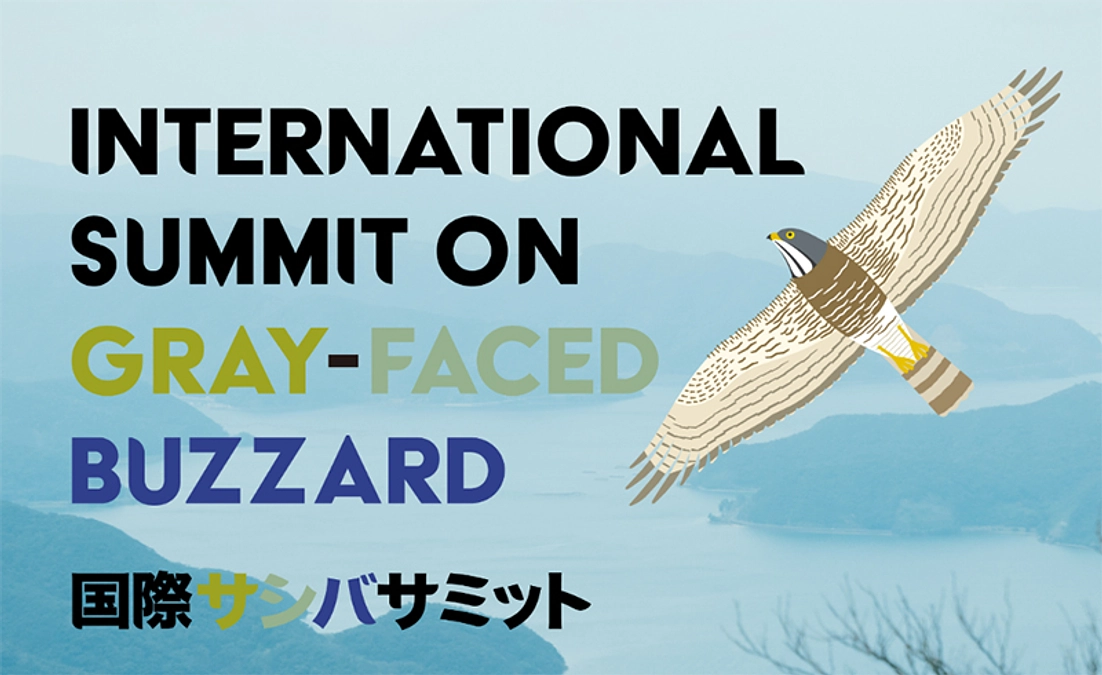 国際サシバサミットのお知らせ
