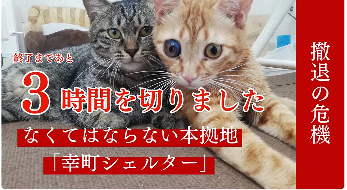 残り3時間を切りました！本日23時まで全力で駆け抜けます！