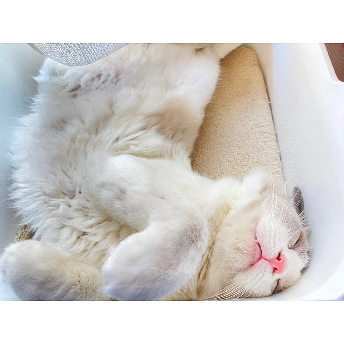 7月分と8月(寛解)分の検査結果！