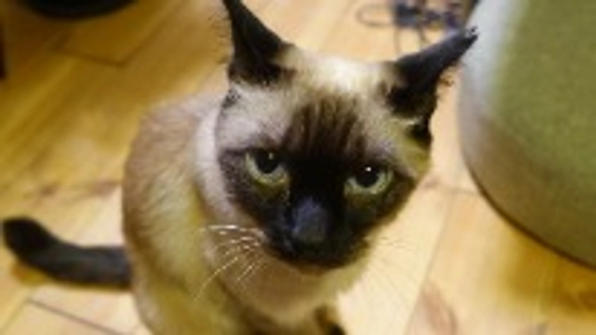 ★2023.6/28 投薬開始76日目★