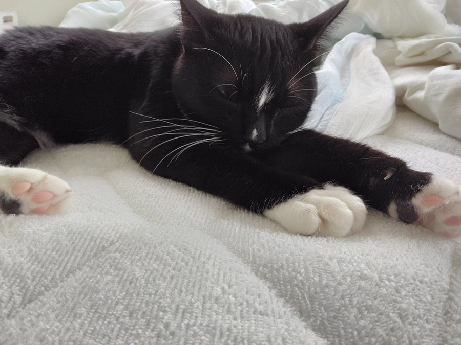 6/6はなちゃんの様子