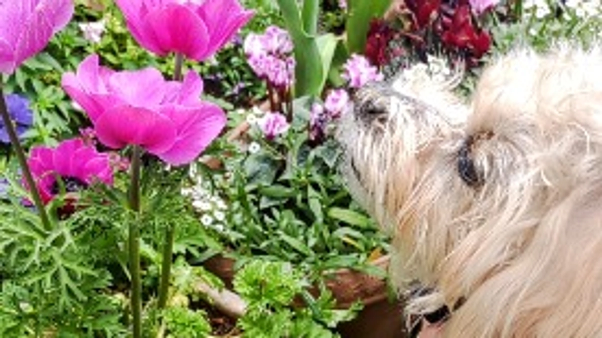 最後の更新となりました