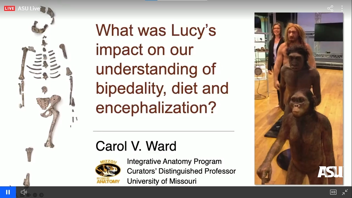 ルーシー50周年シンポジウムの動画を視聴できます