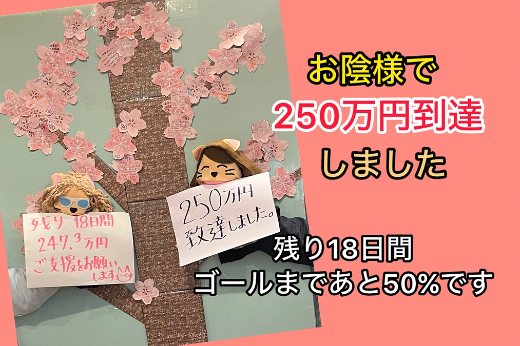 『250万円到達！』感謝の桜の木を作り満開にさせます♪（3/12あと残り18日）