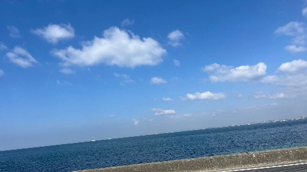 心育とは？　/ About Cocoiku