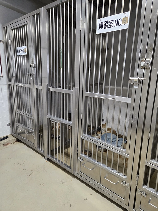 3/14、今日も期限をむかえてしまった子を迎えに行きました