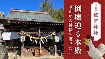 下野國のお酉様・鷲宮神社｜咳止めの神様を護るため本殿修復にご支援を のトップ画像